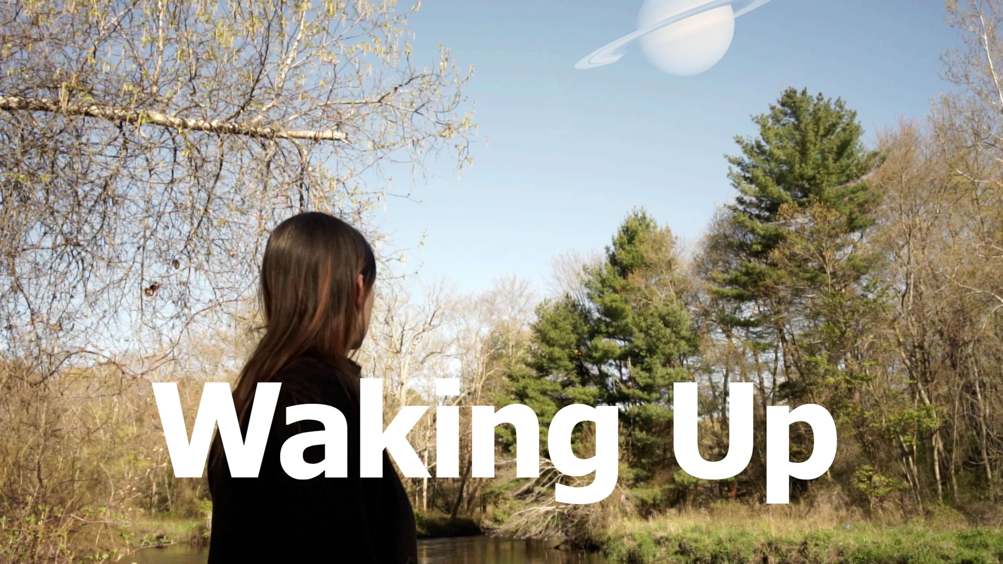 Waking Up poster